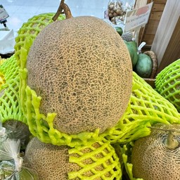 เมล่อนเนื้อเขียว 1ลูก