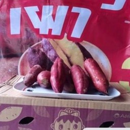 มันหวานญี่ปุ่นแท้ พันธุ์เบนิฮารุกะ (แบบสด) 5 กิโลกรัม