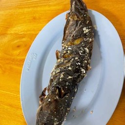 ปลาดุกย่างเกลือ