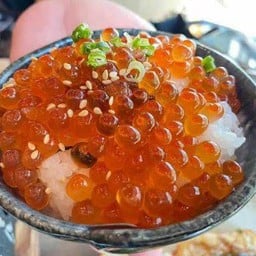 ข้าวหน้าไข่แซลมอน