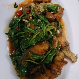 ปลากะพงทอดผัดกะเพา