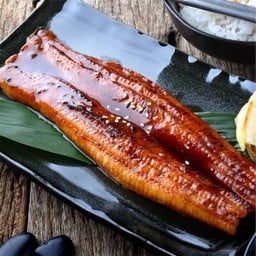 ปลาไหลญี่ปุ่นย่าง Unagi