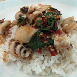 กะเพรา กอ จ้าว