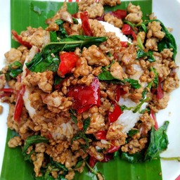 อาหารตามสั่งน้องจุ๋ม  อาหารป่า  กบ  ปลาไหล  เนื้อ หมูป่า