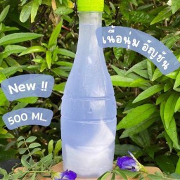 [ใหม่] มะพร้าวน้ำหอมอัญชัน พร้อมเนื้อ ขนาด 500 ML , Coconut Water & Buttrfly pea 500 ML