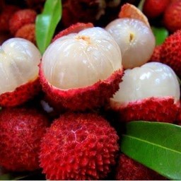 นมสดลิ้นจี่ ปั่น22oz ฟรีมุกลิ้นจี่