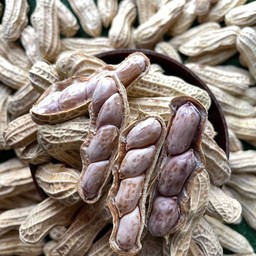 ถั่วต้มลายเสือ 200กรัม