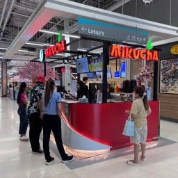 Mikucha มิกุชาโลตัสปากช่อง