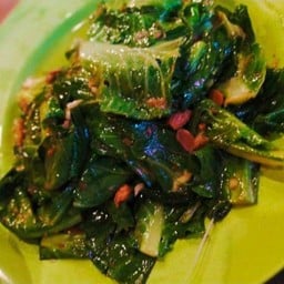 แขนงไฟแดง