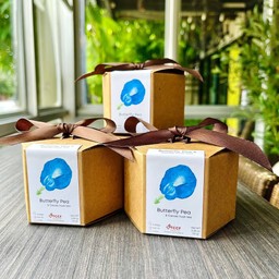 Butterfly Pea & Cacao husk tea
