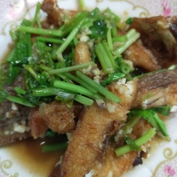 ปลาทับทิมผัดขึ้นฉ่าย (ผัดตั้งโอ๋)