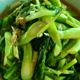 ผัดคะน้าน้ำมันหอยราดข้าว