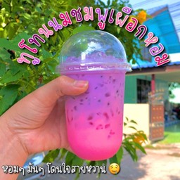 ทูโทนนมชมพูเผือกหอม [เย็น]