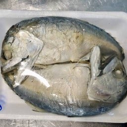 เจ้ปุ้มปลาทูแม่กลอง 100% ตลาดเทศบาลเมืองชุมพร