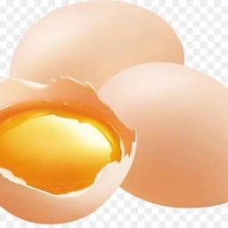 MENU_2493735Vw_1696314242