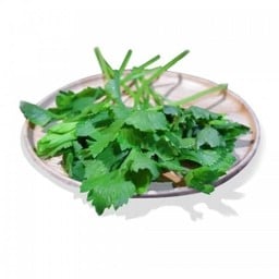 ตั้งโอ๋