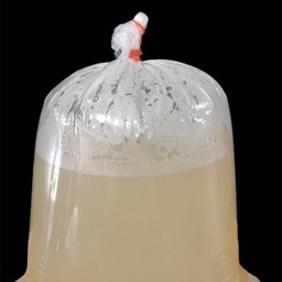 น้ำซุปหมู