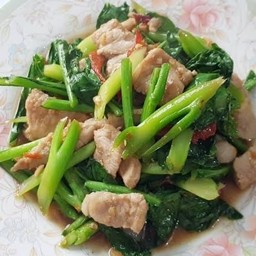 ผัดคะน้าน้ำมันหอย ราดข้าว