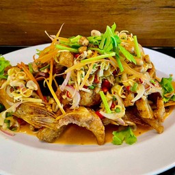 ปลาทับทิมลุยสวย