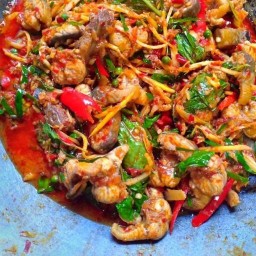 ครัวอาหารป่า 126/441ม.2ต.ทับมาอ.เมืองระยองจ.ระยอง21000