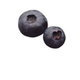 BLUEBERRY