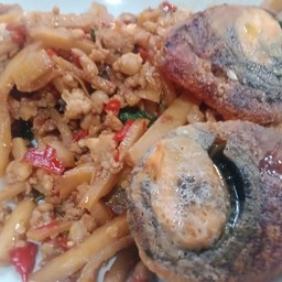 ข้าวหน้ากระเพราหน่อไม้หมูสับ,,ไข่เยี่ยวม้าทอด