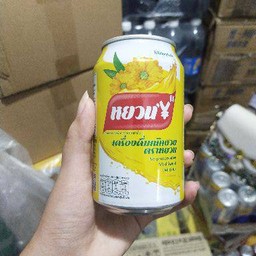 菊花茶 น้ำเก๊กฮวย
