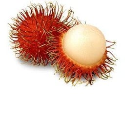 RAMBUTAN