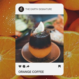 SPEC01.ORANGE COFFEE -กาแฟส้ม