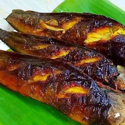 ปลาดุกย่าง