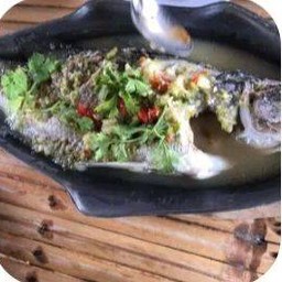 ปลากะพงนึ่งมะนาว