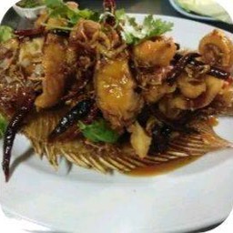 ปลาทับทิมสามรส