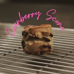 Cranberry scone