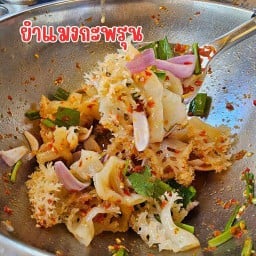 ยำแมงกะพรุน