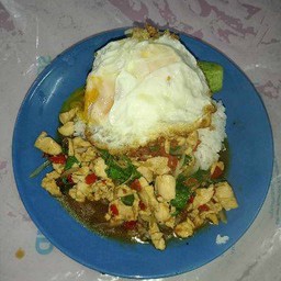 กระเพราไก่ราดข้าว+ไข่ดาว