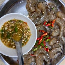ขี้เมากระเพาตามสั่ง หน้าวัดช่องนนทรี