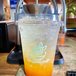 มะม่วงมะยงชิด