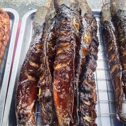 ปลาดุกย่าง