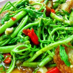 กระเฉดผัดน้ำมันหอย