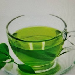ชาเขียวร้อนออแกนิก  Organic hot green tea