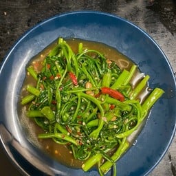 ผักบุ้งไฟแดง