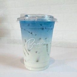 นมสดอัญชันเย็น