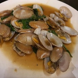 หอยลายผัดใบโหระพา