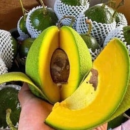 อโวคาโด (พร้อมทาน)