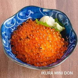 IKURA MINI DON