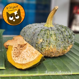 สังขยาฟักทอง