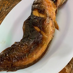 ปลาดุกย่าง