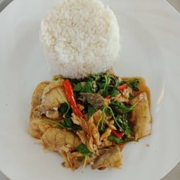 ข้าวกระเพราปลากระพง