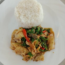 ข้าวราดกระเพราเนื้อปลา