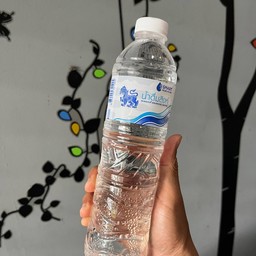 น้ำดื่มสิงห์ 600ML